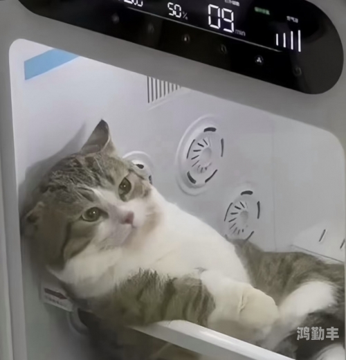 我和妹妹洗澡的意外经历