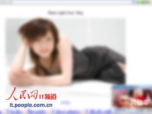 日本成人网站，了解与使用注意事项-第2张图片