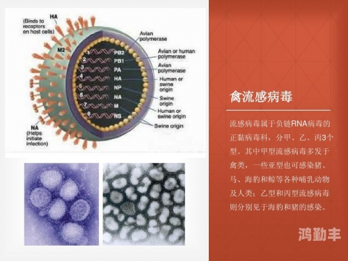 关于人禽关系探讨的误解——以23部作品为例-第3张图片