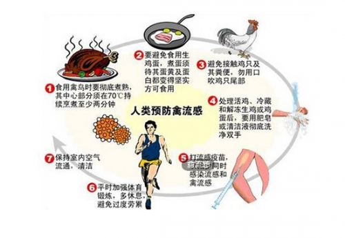 关于人禽关系探讨的误解——以23部作品为例-第2张图片