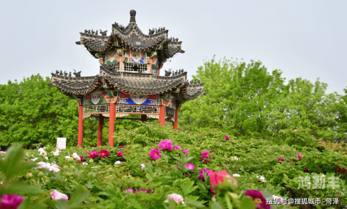 国色天香视频在线社区国色天香视频在线社区，探索网络文化的新天地