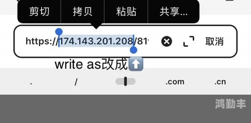 探索WRITEAS平台下的菊之魅力-第3张图片