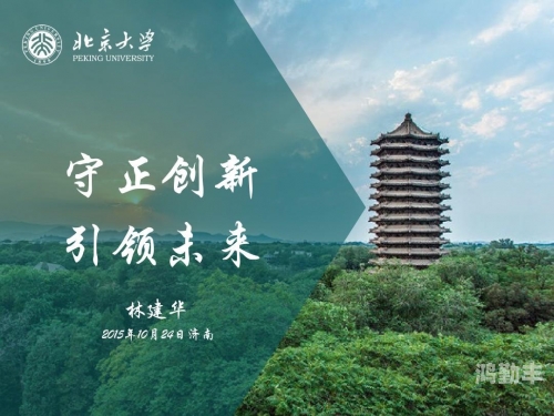 HULUWA.IN，探索数字时代的创新与未来-第2张图片