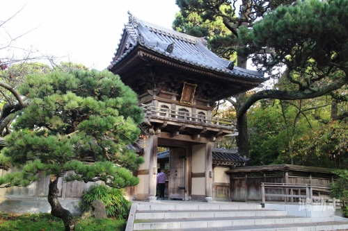 日本中老年人的生活与健康——以Japanese Olemans为视角-第2张图片