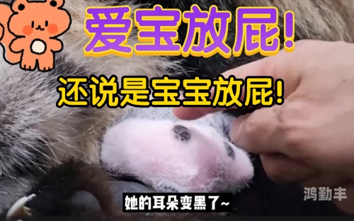 把生姜放屁眼里打生姜与特殊体验，一次意想不到的探索-第1张图片