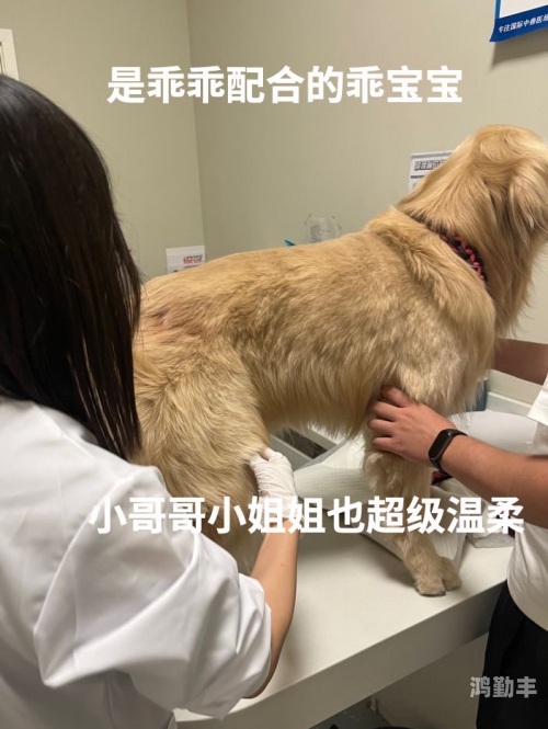 小学体检查小鸡最简单处理小学体检查小鸡，一次难忘的成长体验-第2张图片