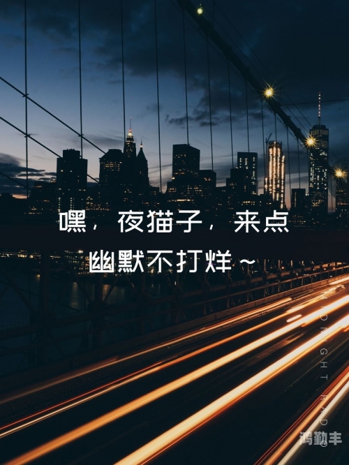 夜深了应该看的视频是什么夜深了，这些视频值得你一探究竟-第1张图片