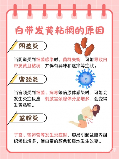 16处破外女出血视频导航深入探讨女性健康，关于16处破外女出血的医学与心理分析-第2张图片