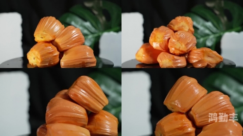 菠萝蜜视频在线观看，探索与欣赏的乐趣-第2张图片