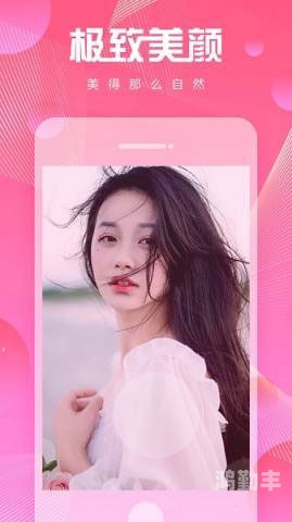 成人影片播放器，了解、使用与注意事项-第3张图片