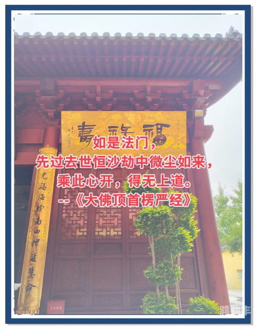 九阴真经刷恶九阴真经，探索刷恶的奥秘