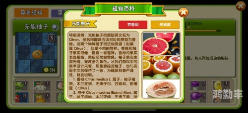 污草莓樱桃丝瓜绿巨人秋葵探索多彩的蔬果世界——污草莓、樱桃、丝瓜、绿巨人及秋葵的奇妙之旅-第2张图片