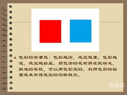 五月色网站，探索网络世界的色彩与魅力-第1张图片
