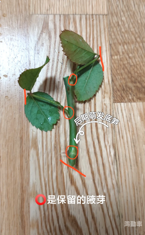 在床上的72种扦插方法女性隐私的侵犯，关于女人被扒开荫道口的探讨-第2张图片