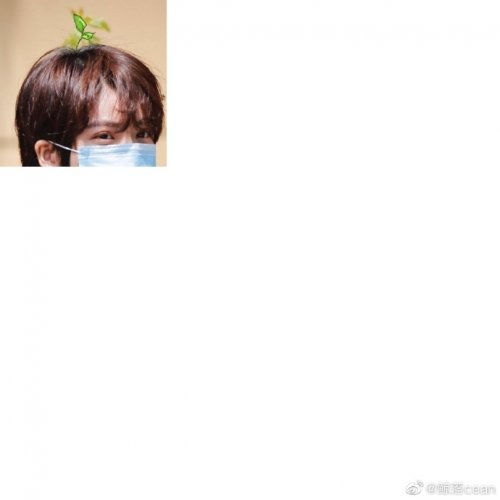 一支笔怎么C哭自己一支笔如何引领我走向情感的深渊-第1张图片
