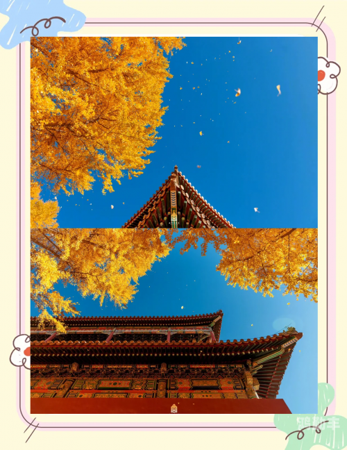 梦回大清，穿越时空的皇家之旅-第1张图片
