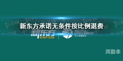亚洲bt区探索亚洲的BT区，多元文化的交汇与网络发展
