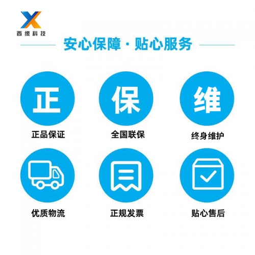 探索pinseluntan的魅力与内涵