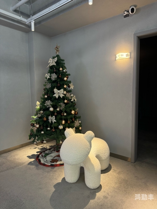 不充会员的爽爽影院，体验不一样的观影乐趣-第2张图片