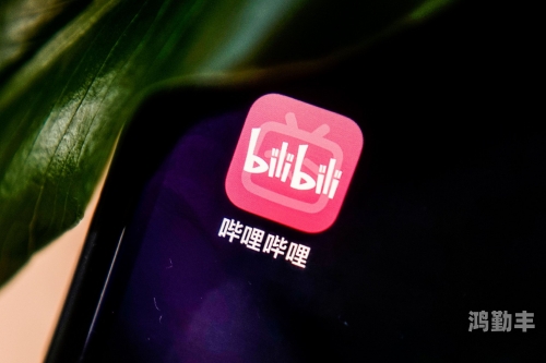 免费进入b站软件有哪些免费进入B站软件，探索数字娱乐的新天地-第2张图片