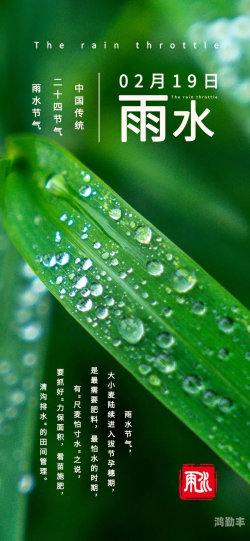 春雨电影大全免费观看在线播放探索多波野的奥秘-第1张图片