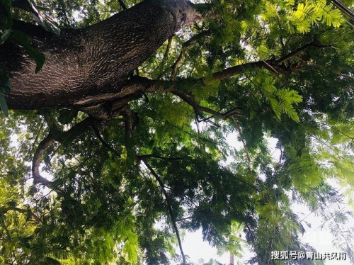 让多个流浪汉上自己以爱为名，引领流浪者走向温暖——我的行动与责任-第2张图片