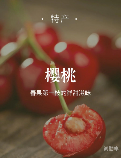 樱桃视频.app下载旧网站免费大全樱桃视频.app下载旧版本 - 免费获取与使用指南-第2张图片