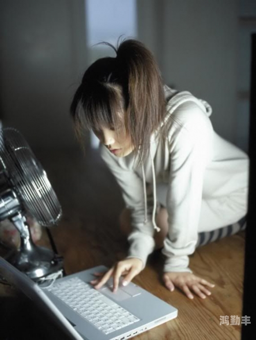 五月天与色四月婷婷网，探索网络世界中的多彩魅力