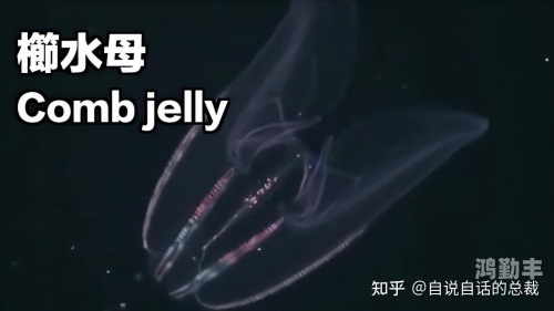 恐怖网站恐怖网，深渊之谜-第2张图片