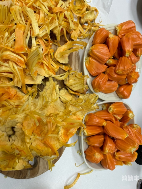 菠萝菠萝蜜免费观看影视菠萝菠萝蜜，免费观看影视的快乐之旅