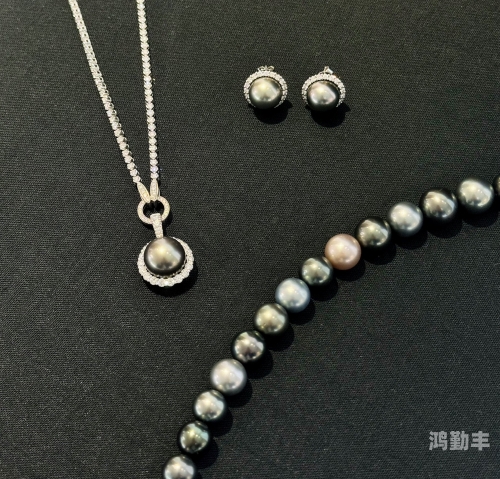 黑珍珠米斯特适合哪个职业黑珍珠米斯特的神秘魅力-第2张图片