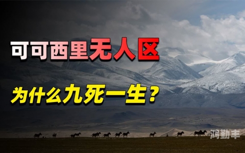 无人区乱码一二三四的区别解析-第1张图片