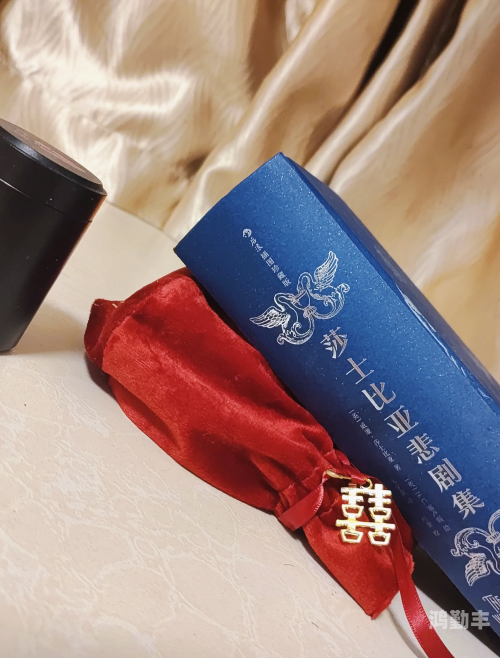 荡公乱妇小说，探索人性的复杂与矛盾-第2张图片
