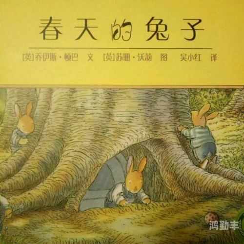 在床上的72种扦插方法关于老师与兔子的温馨故事-第2张图片