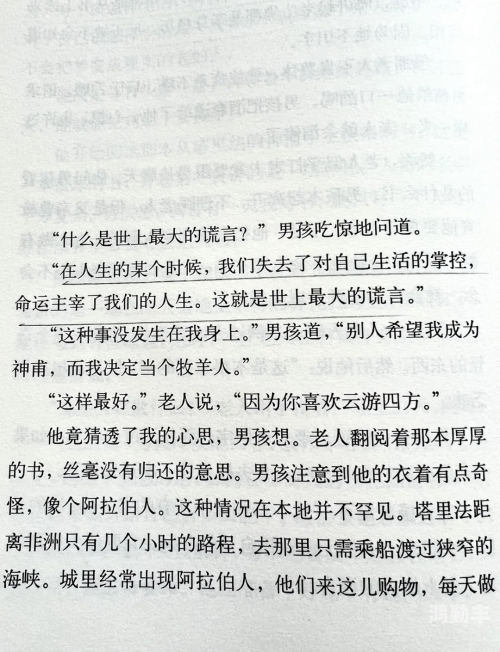 获得超级胬肉系统小说超级胬肉系统，一部奇幻小说的探索之旅-第3张图片