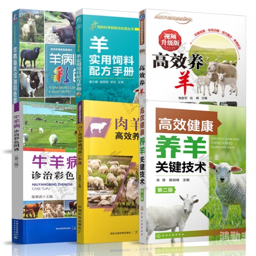 羊的下面与人，共通之处探索-第2张图片