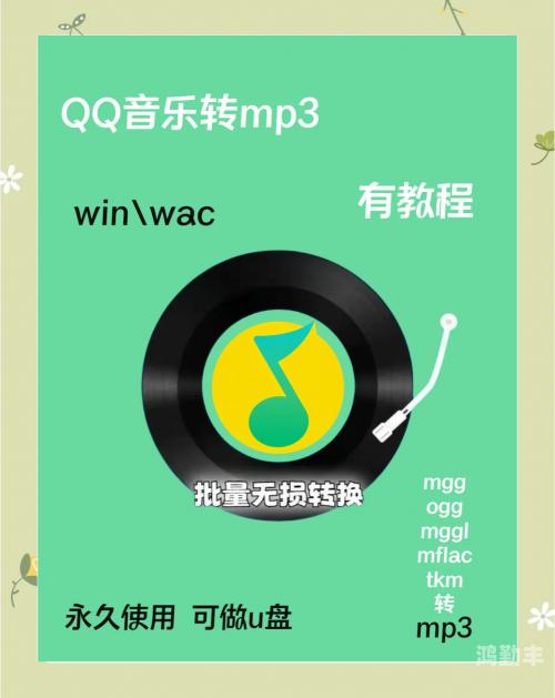 qq下载正式版官方免费下载QQ下载正式版官方免费下载教程-第3张图片