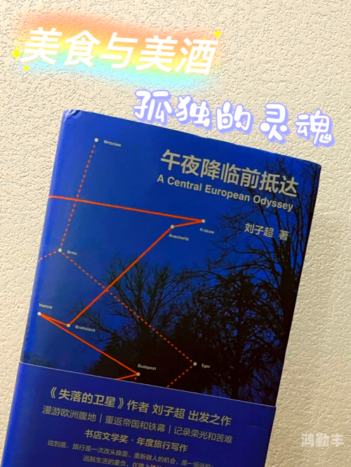 无限刷午夜探索无限刷午夜的奇妙世界-第2张图片