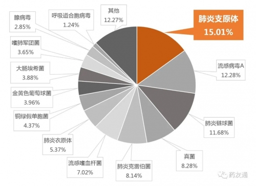 成人社区获得性肺炎指南2024探索chengrenshequ的魅力与意义-第1张图片