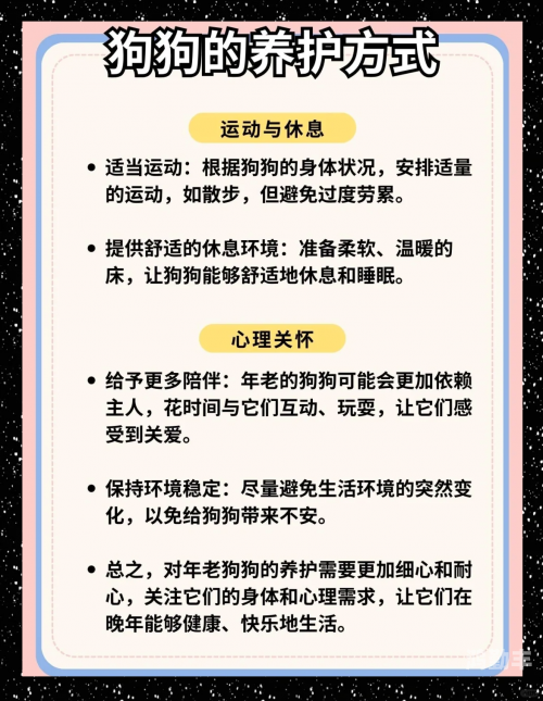 被自己家狗狗C了一天被自己家狗狗C了一天的真实经历-第2张图片