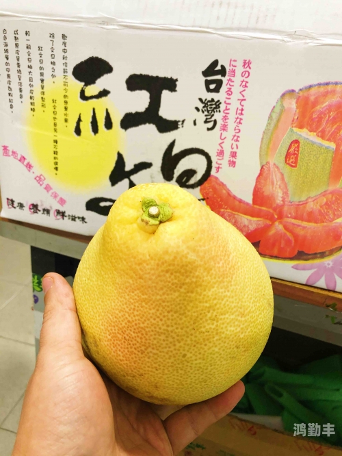 麻豆产国品一二三产品区别麻豆产国品一二三产品深度解析-第2张图片