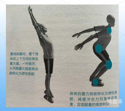 宝宝把腿抬起来靠墙上就不疼了背后的秘密宝宝腿部疼痛缓解的神奇小妙招，把腿抬起来靠墙上就不疼了-第3张图片