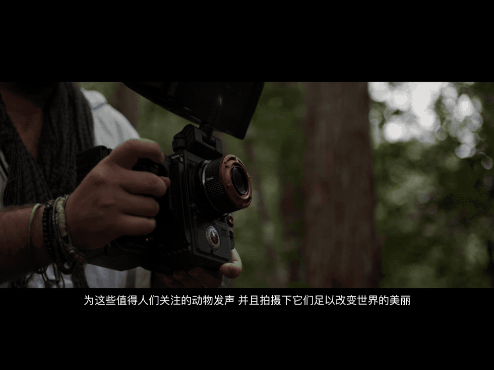 japan粗暴video野外日本粗暴视频背后的文化与野外探索