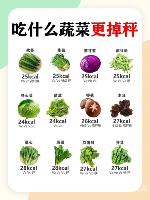 香蕉黄瓜丝瓜哈密瓜秋葵多彩果蔬的盛宴——香蕉、黄瓜、丝瓜、哈密瓜与秋葵的奇妙世界