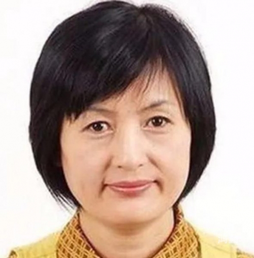 欧洲肥胖老太太欧洲肥胖老太太，健康、生活与社会的多维观察-第2张图片