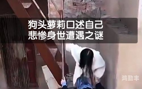 口述遭遇不愉快经历