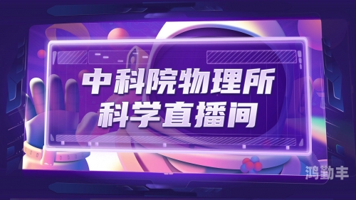 深夜看b站app软件免费深夜的探索之旅，B站APP软件免费体验记-第2张图片