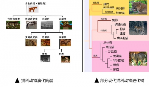轩辕世界轩辕世界的奥秘与探索-第2张图片