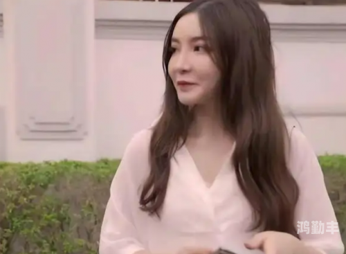 麻豆天美电影，免费观看的视觉盛宴-第2张图片