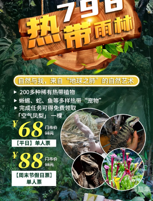 仙踪林入口视频之旅——欢迎您的探索